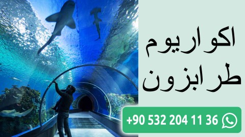 اكواريوم طرابزون